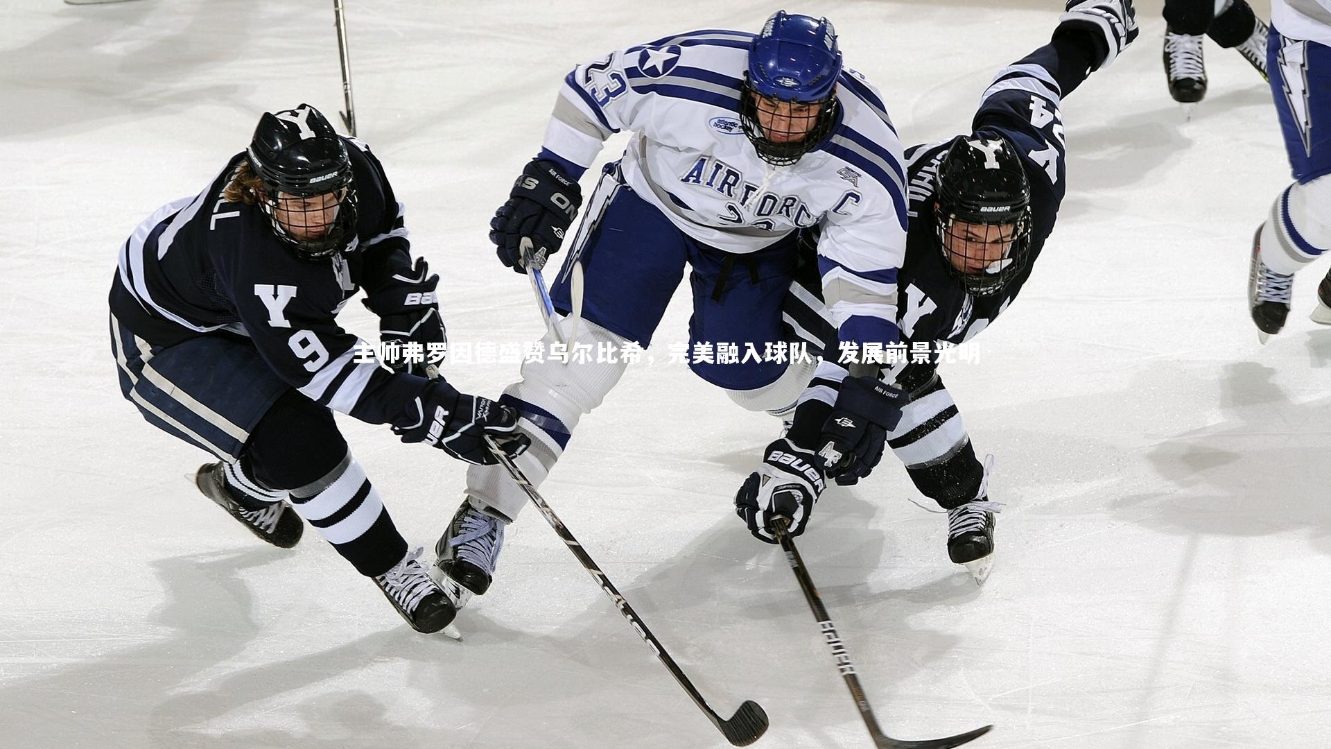 KAIYUN开云-主帅弗罗因德盛赞乌尔比希，完美融入球队，发展前景光明